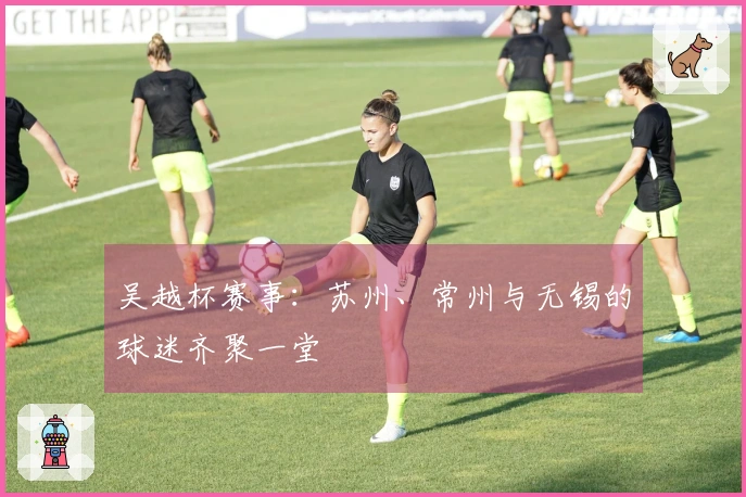 吴越杯赛事：苏州、常州与无锡的球迷齐聚一堂