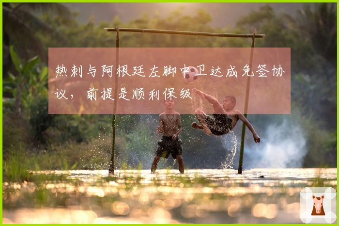 热刺与阿根廷左脚中卫达成免签协议，前提是顺利保级