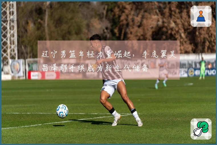 辽宁男篮年轻力量崛起，李虎翼吴昌泽鄢手琪成为新生代储备